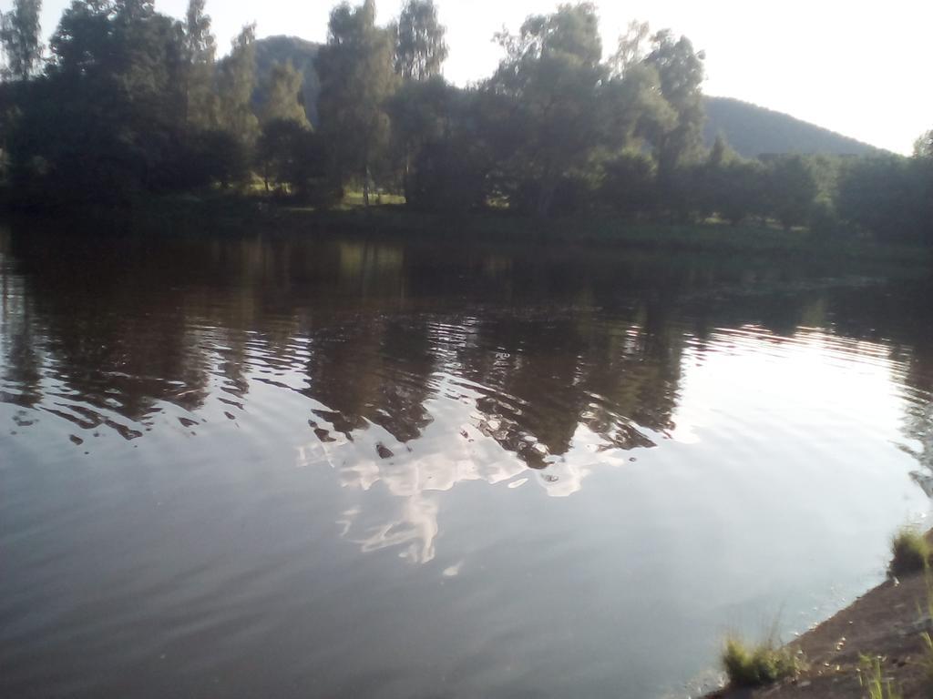Apartman 141 Chřibská 外观 照片